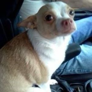 Meet your Posher, Debra